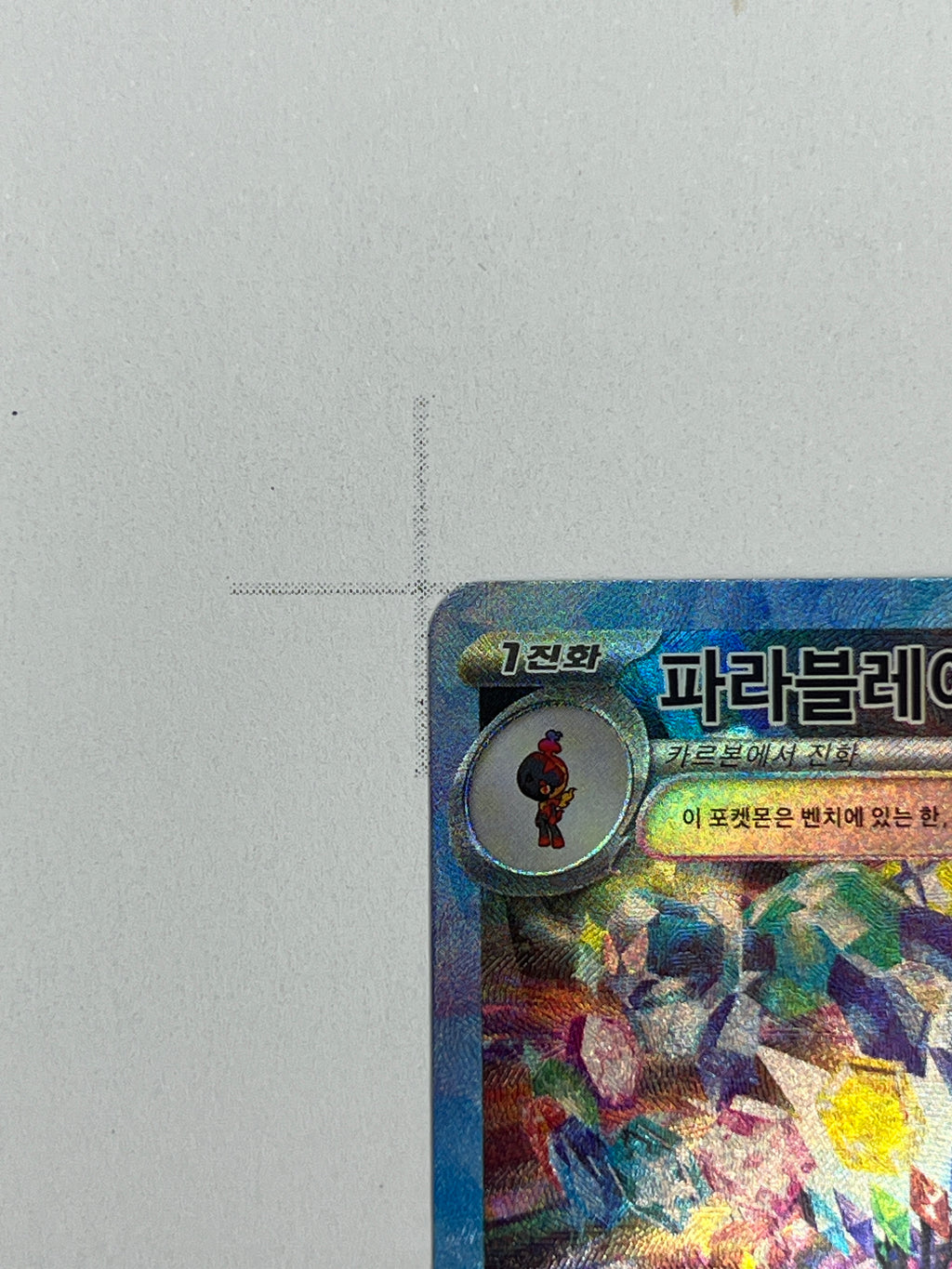 Azugladis ex – SAR | KOR | sv8a 203