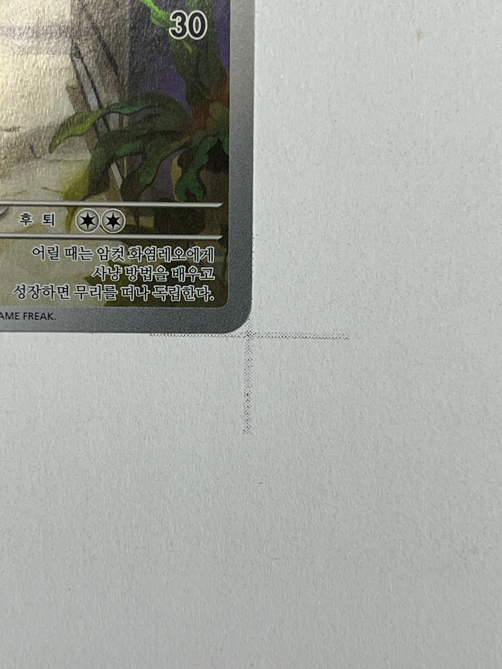 Litleo – Art Rare | KOR | m1S 066