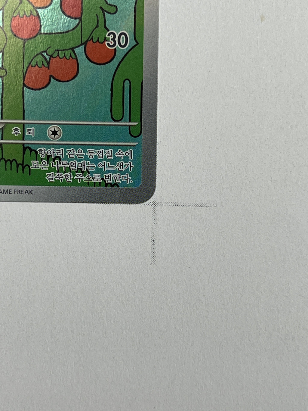 Shuckle – Art Rare | KOR | m1S 064